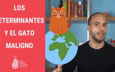 Los determinantes y el gato maligno