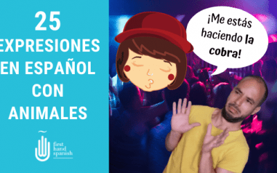 25 expresiones en español con animales