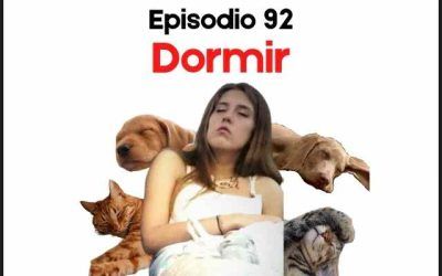 92. Dormir
