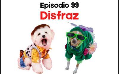 99. Disfraz