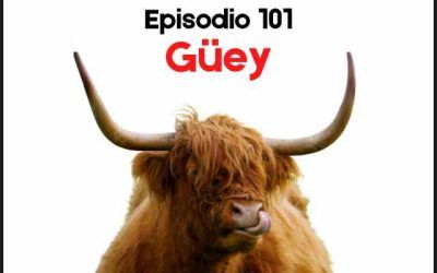 101. Güey